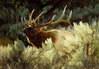 brenders_-_indian_summer-bugling_elk.jpg